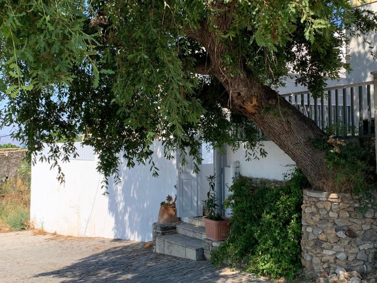 Moeses House Villa Asfendiou Екстериор снимка